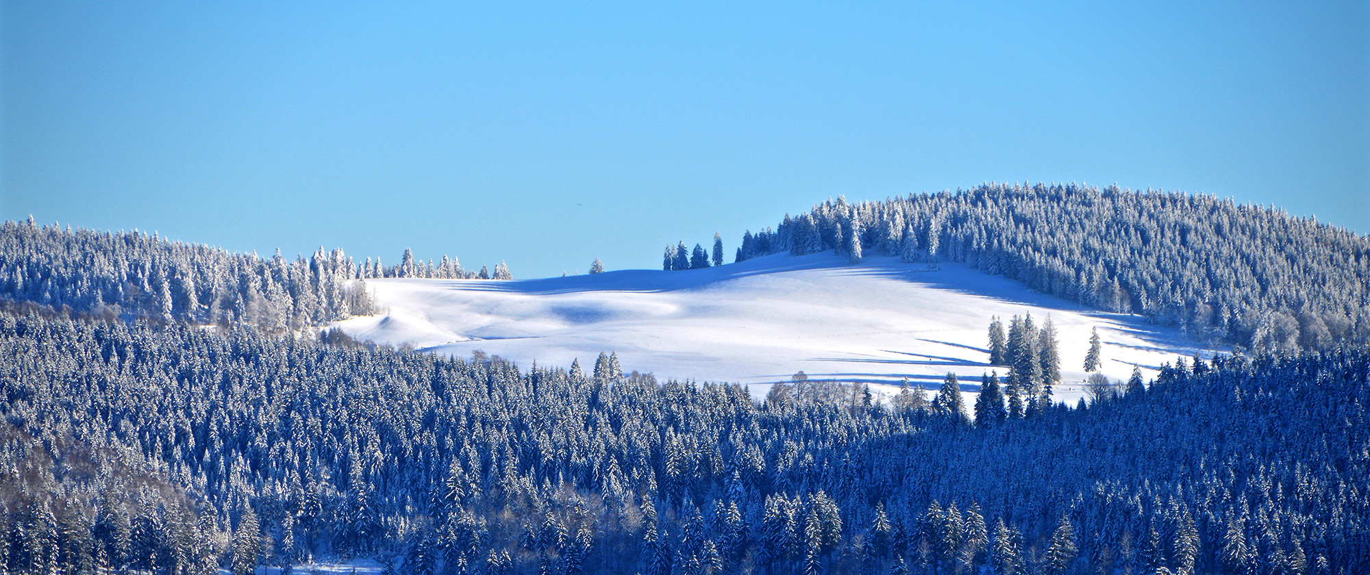 Schwarzwald Immobilien - Unsere Angebote