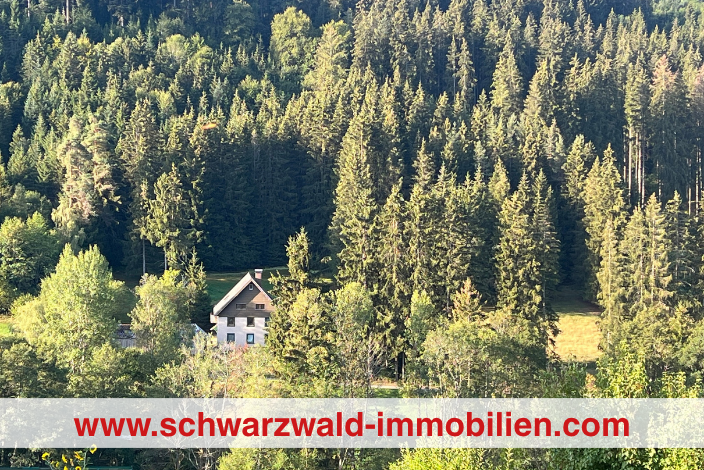 Haus im Wald von Wiese umgeben