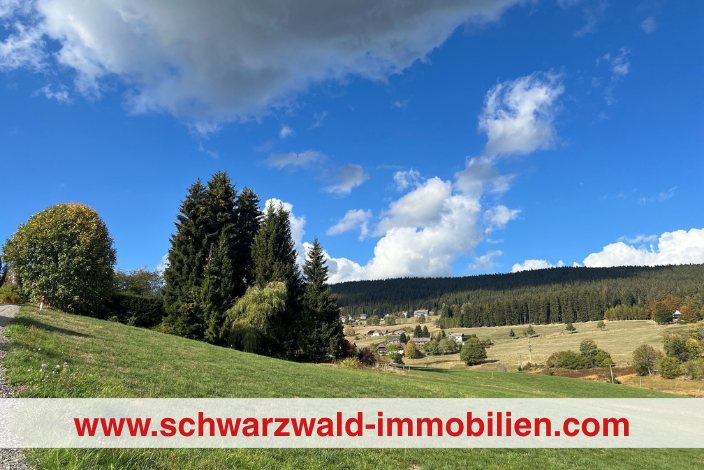 Eine Wiese, mit Bäumen im Hintergrund und dem Himmel darüber