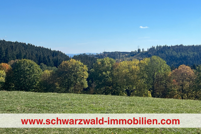 Eine Wiese, mit Bäumen im Hintergrund und dem Himmel darüber